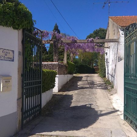 Casa Dos Arrabidos Guest House Торес Новас Екстериор снимка