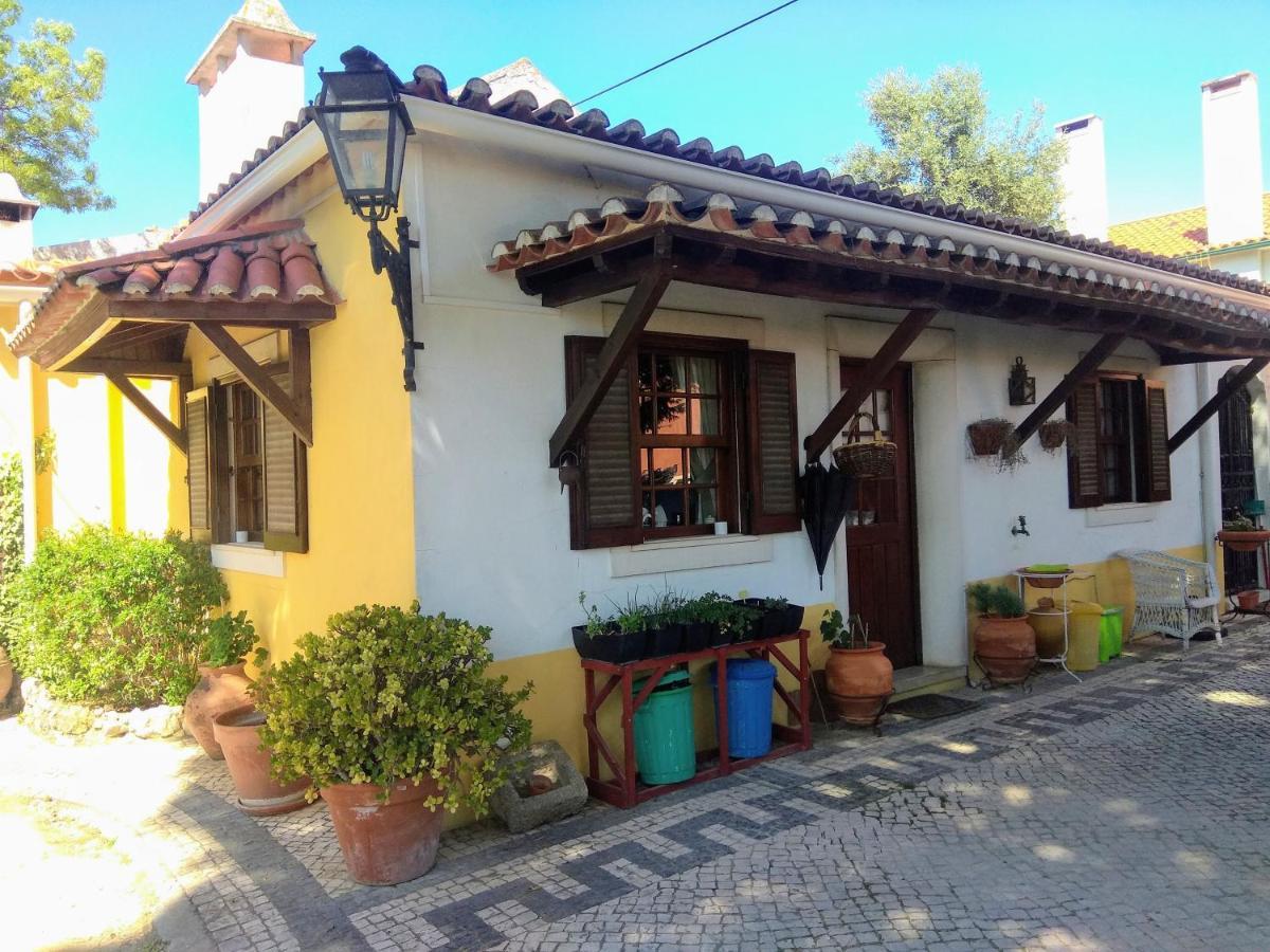 Casa Dos Arrabidos Guest House Торес Новас Екстериор снимка