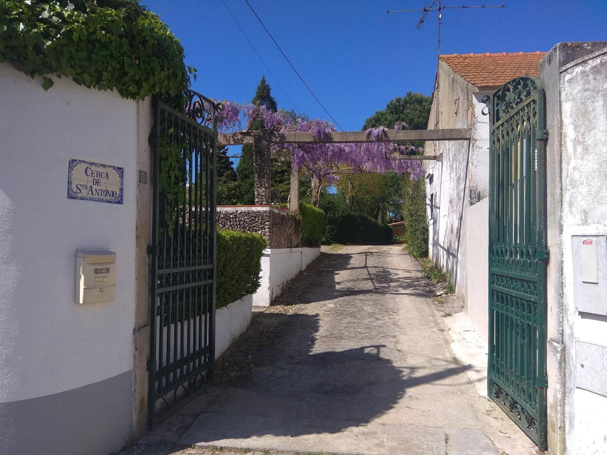 Casa Dos Arrabidos Guest House Торес Новас Екстериор снимка