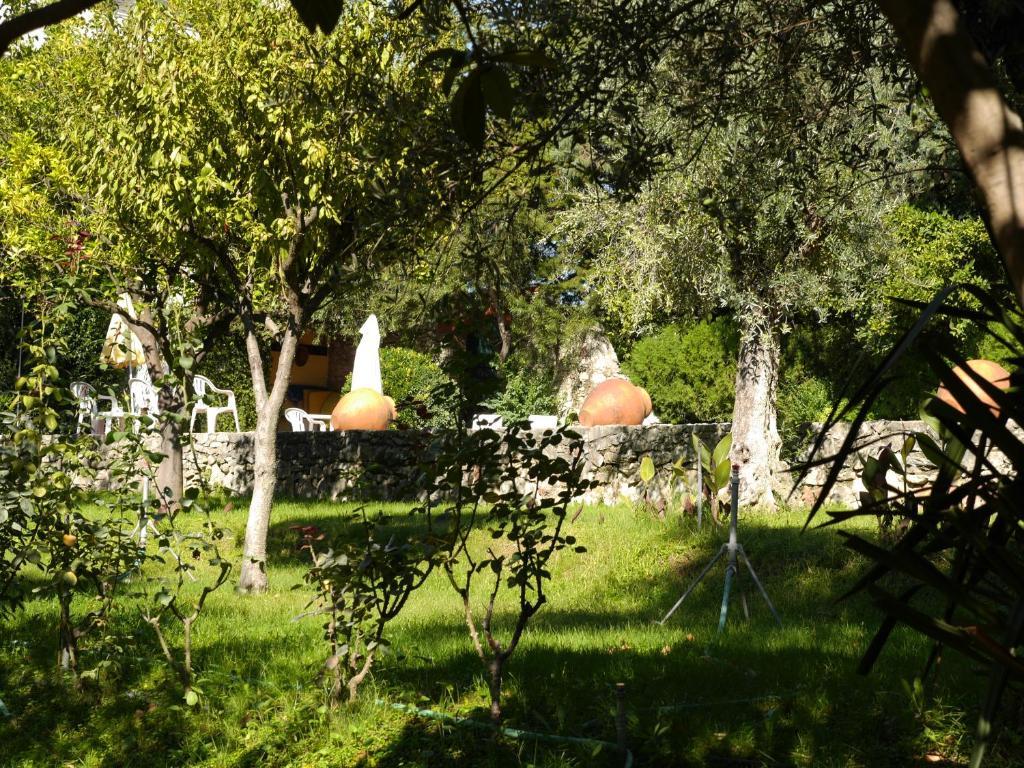 Casa Dos Arrabidos Guest House Торес Новас Екстериор снимка