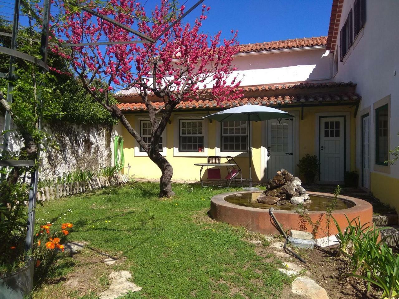 Casa Dos Arrabidos Guest House Торес Новас Екстериор снимка